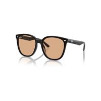 Ray-Ban Sunglasses Unisex Rb4423d - Black Frame Brown Lenses 66-15
