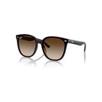 Ray-Ban Sunglasses Unisex Rb4423d - Transparent Brown Frame Brown Lenses 66-15
