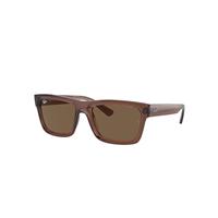 Ray-Ban Sunglasses Unisex Warren Bio-based - Transparent Brown Frame Brown Lenses 54-20