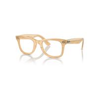 Ray-Ban Eyeglasses Unisex Wayfarer Ease Optics Change - Photo Striped Brown Frame Clear Lenses Polarized 50-22
