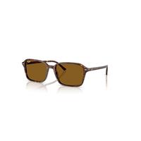 Ray-Ban Sunglasses Unisex Raimond - Transparent Fantasy Brown Frame Brown Lenses 56-18