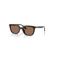 Ray-Ban Sunglasses Unisex Rb4439d - Opal Brown Frame Brown Lenses 54-21