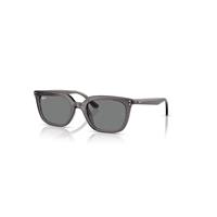 Ray-Ban Sunglasses Unisex Rb4439d - Transparent Grey Frame Grey Lenses 54-21