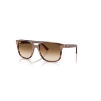 Ray-Ban Sunglasses Unisex Rb2213 - Havana Brown Frame Brown Lenses 58-20