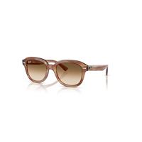 Ray-Ban Sunglasses Unisex Erik - Striped Brown Frame Brown Lenses 53-20