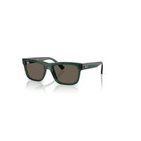 Ray-Ban Sunglasses Unisex Rb9196s Kids Bio-based - Transparent Green Frame Brown Lenses 49-17