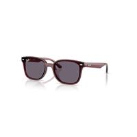 Ray-Ban Sunglasses Unisex Rb4461d - Transparent Dark Brown Frame Violet Lenses 64-17