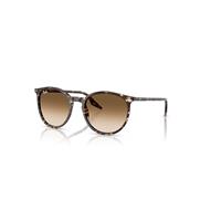 Ray-Ban Sunglasses Unisex Rb2204 - Havana Yellow Tortoiseshell Frame Brown Lenses 51-20