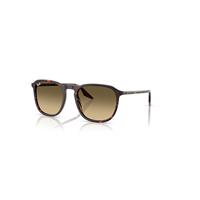 Ray-Ban Sunglasses Unisex Rb2203 - Havana Red Tortoiseshell Frame Brown Lenses 55-20