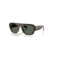 Ray-Ban Sunglasses Unisex Rb2218 - Havana Frame Green Lenses 55-22
