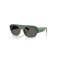 Ray-Ban Sunglasses Unisex Rb2218 - Transparent Green Frame Brown Lenses 55-22