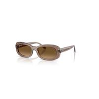 Ray-Ban Sunglasses Woman Rb2221 - Transparent Beige Frame Brown Lenses Polarized 53-18