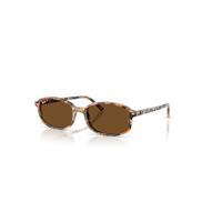 Ray-Ban Sunglasses Unisex Sam - Havana Brown Grey Frame Brown Lenses Polarized 56-19