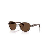 Ray-Ban Sunglasses Unisex Rb3766ch Chromance - Striped Brown Frame Brown Lenses Polarized 56-20