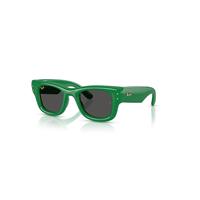 Ray-Ban Sunglasses Unisex Wayfarer Puffer - Green Frame Black Lenses 47-23