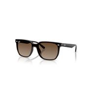 Ray-Ban Sunglasses Unisex Rb4466d - Transparent Dark Brown Frame Brown Lenses 01-47