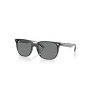 Ray-Ban Sunglasses Unisex Rb4466d - Transparent Grey Frame Grey Lenses 01-47