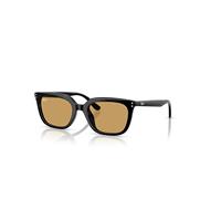 Ray-Ban Sunglasses Unisex Rb4439d - Black Frame Brown Lenses 54-21