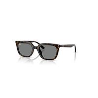 Ray-Ban Sunglasses Unisex Rb4439d - Havana Frame Grey Lenses 54-21