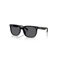 Ray-Ban Sunglasses Unisex Rb4466d - Matte Black Frame Grey Lenses Polarized 01-47