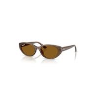 Ray-Ban Sunglasses Unisex Rb4457d Bio-based - Transparent Brown Frame Brown Lenses Polarized 55-19