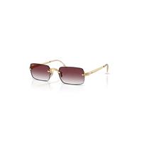 Ray-Ban Sunglasses Unisex Rb3928 By A$ap Rocky - Arista Gold Frame Violet Lenses 54-20