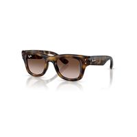 Ray-Ban Sunglasses Unisex Puffer Kids Bio-based - Havana Frame Brown Lenses 42-19