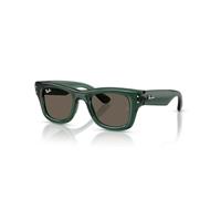 Ray-Ban Sunglasses Unisex Puffer Kids Bio-based - Transparent Green Frame Brown Lenses 42-19