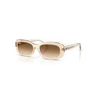 Ray-Ban Sunglasses Woman Rb2221 - Transparent Nude Frame Brown Lenses 56-18
