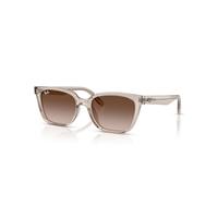Ray-Ban Sunglasses Unisex Rb2243d - Transparent Light Brown Frame Brown Lenses 55-19