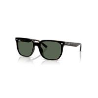 Ray-Ban Sunglasses Unisex Rb4466d - Havana Frame Green Lenses 01-47