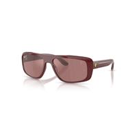 Ray-Ban Sunglasses Unisex Rb4479m Scuderia Ferrari Collection Polarized+ Lenses - Dark Red Frame Violet Lenses Polarized 60-17
