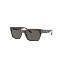 Ray-Ban Sunglasses Man Jeffrey - Havana On Transparent Brown Frame Grey Lenses 53-20