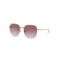Ray-Ban Sunglasses Unisex Rb3680d - Rose Gold Frame Violet Lenses 60-19
