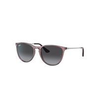 Ray-Ban Sunglasses Children Erika Kids - Silver Frame Grey Lenses 50-15