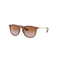 Ray-Ban Sunglasses Woman Erika Classic - Brown Frame Brown Lenses 54-18