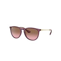 Ray-Ban Sunglasses Woman Erika Classic - Transparent Violet Frame Pink Lenses 54-18