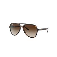 Ray-Ban Sunglasses Unisex Rb4376 - Havana Frame Brown Lenses 57-16