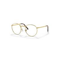Ray-Ban Eyeglasses Unisex New Round Optics - Gold Frame Clear Lenses Polarized 47-21