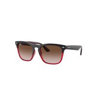 Ray-Ban Sunglasses Unisex Steve - Grey On Transparent Red Frame Brown Lenses 54-18