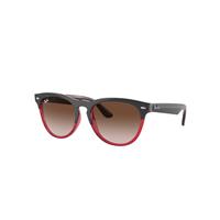 Ray-Ban Sunglasses Unisex Iris - Grey On Transparent Red Frame Brown Lenses 54-18