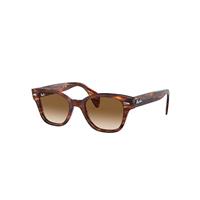 Ray-Ban Sunglasses Unisex Rb0880s - Striped Havana Frame Brown Lenses 52-19