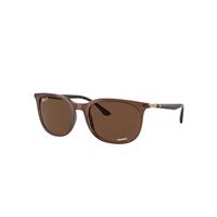 Ray-Ban Sunglasses Unisex Rb4386 - Rose Gold Frame Brown Lenses Polarized 54-20