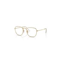 Ray-Ban Sunglasses Unisex Frank Transitions - Arista Gold Frame Grey Lenses 48-20