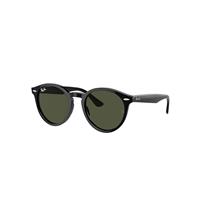 Ray-Ban Sunglasses Unisex Larry - Black Frame Green Lenses 49-21