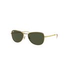 Ray-Ban Sunglasses Unisex Rb3733 - Gold Frame Green Lenses 59-17