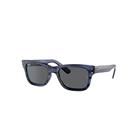 Ray-Ban Sunglasses Unisex Burbank - Blue Frame Grey Lenses 55-20