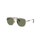 Ray-Ban Sunglasses Unisex Frank II Titanium - Gold Frame Green Lenses 51-20