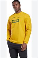 NWT Reebok TS Graphene Long Sleeve Midlayer Shirt L MSRP Logo All Are Welcome - S Regular