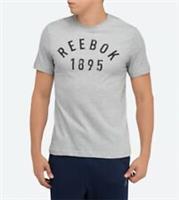 Reebok Mens 1895 Grey Woven Logo Top T-Shirt Size L Large Crossfit Tech RRP £25